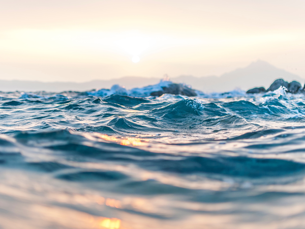 Testimonial-ProNautik